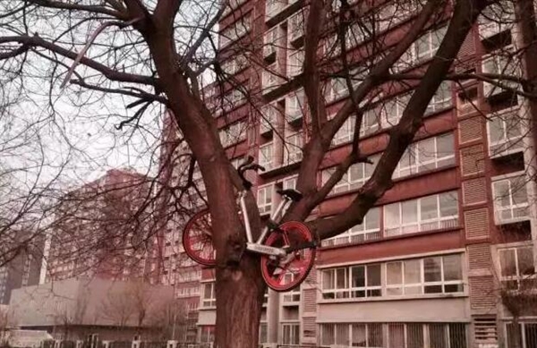 北京频现奇葩损车事件：共享单车被挂树上