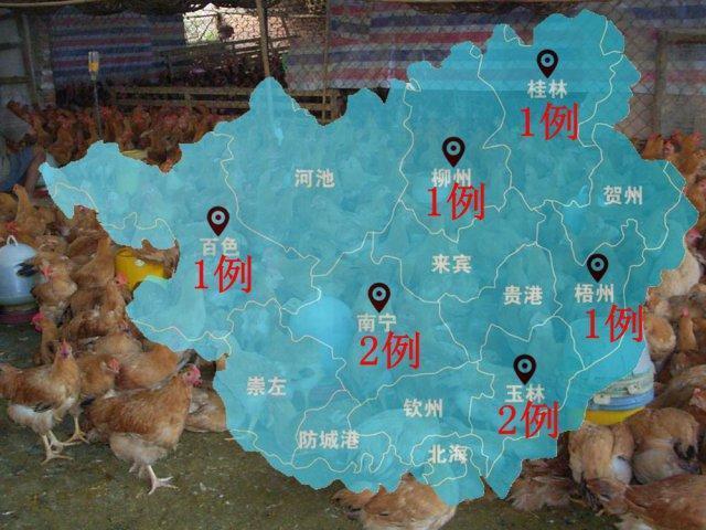广西百色市、梧州市H7N9疫情最新进展再添2例H7N9病例 