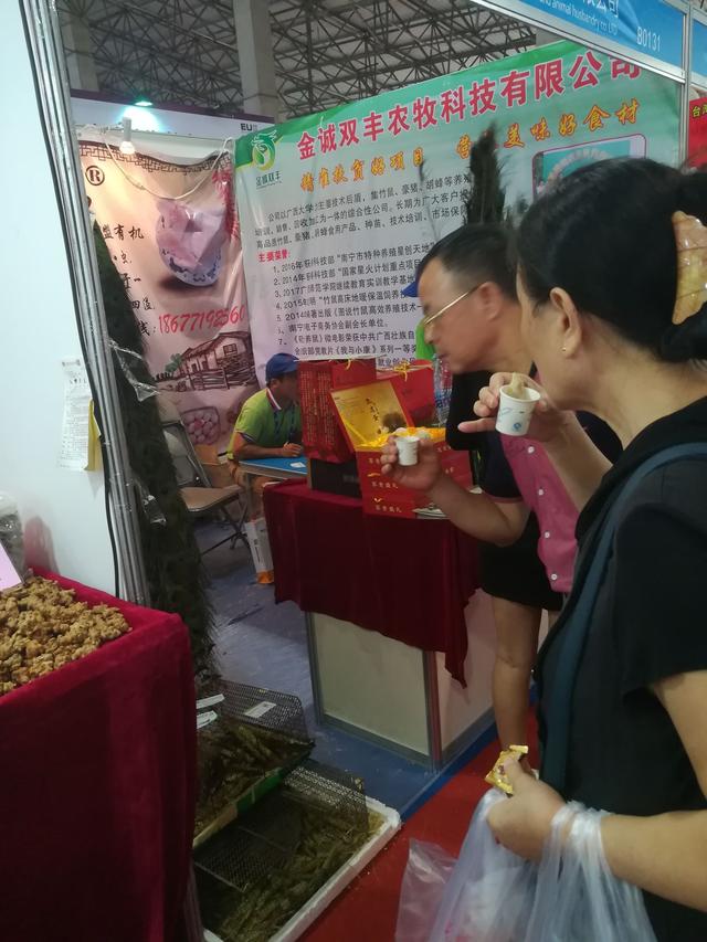 第十四届中国—东盟博览会农业展上 竹鼠“火了”！