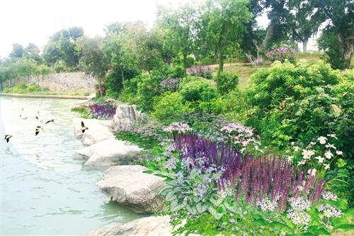 南湖公园将施工一年改善水质 瀑布及游船暂停