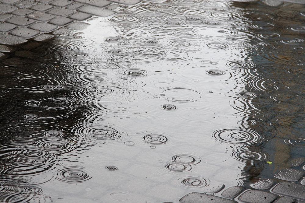 今天广西多地有降雨 市民出门请备雨具