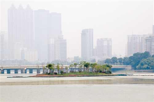 广西南宁南湖水质改善工程加速 11月实现水清岸绿鱼游景美