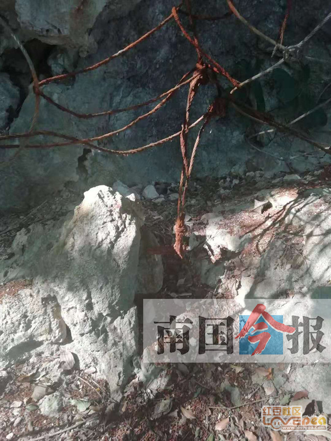 兜住危岩的钢丝网已锈蚀？广西柳州网友爬山发现