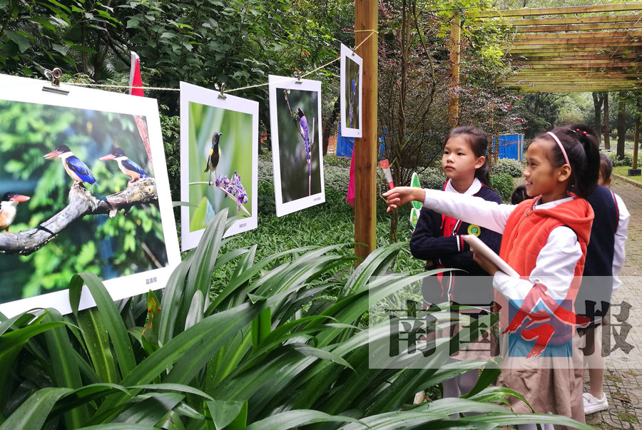 广西柳州有个“鸟类天堂” 都乐生态观鸟基地揭牌