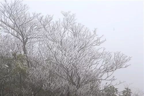 6~9℃！广西南宁气温再创新低 桂北有降雪、冻雨天气