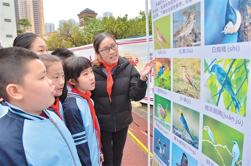 广西南宁市“爱鸟周”科普活动启动 鸟类种群越来越多