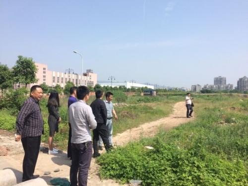 广西南宁市今年试点招聘乡村规划师 平均每个乡镇配备1名